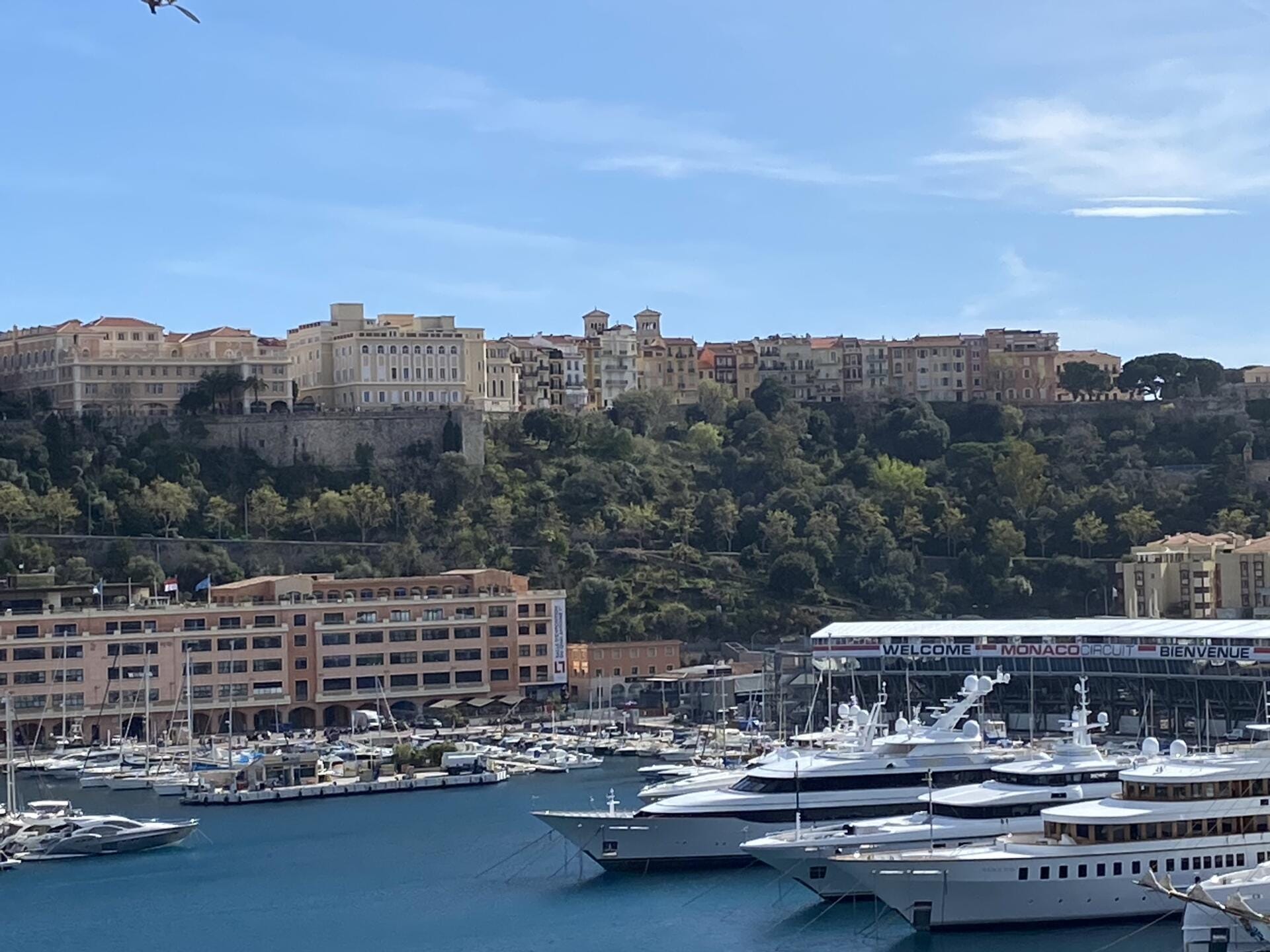 Monte Carlo