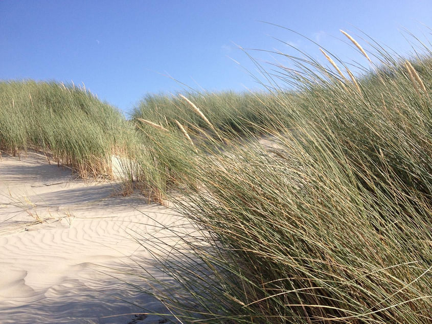 Tagesausflug nach Borkum