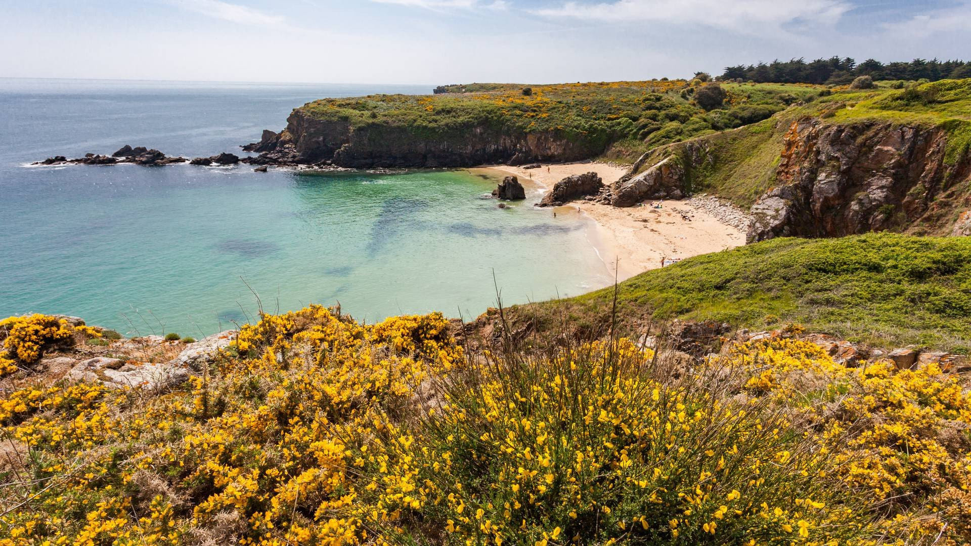 Balade aérienne à l'Île d'Yeu au départ de Le MANS