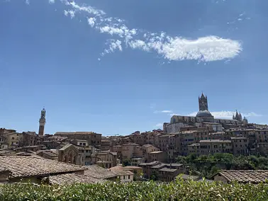 Day Round Trip Excursion Rome to Siena and back