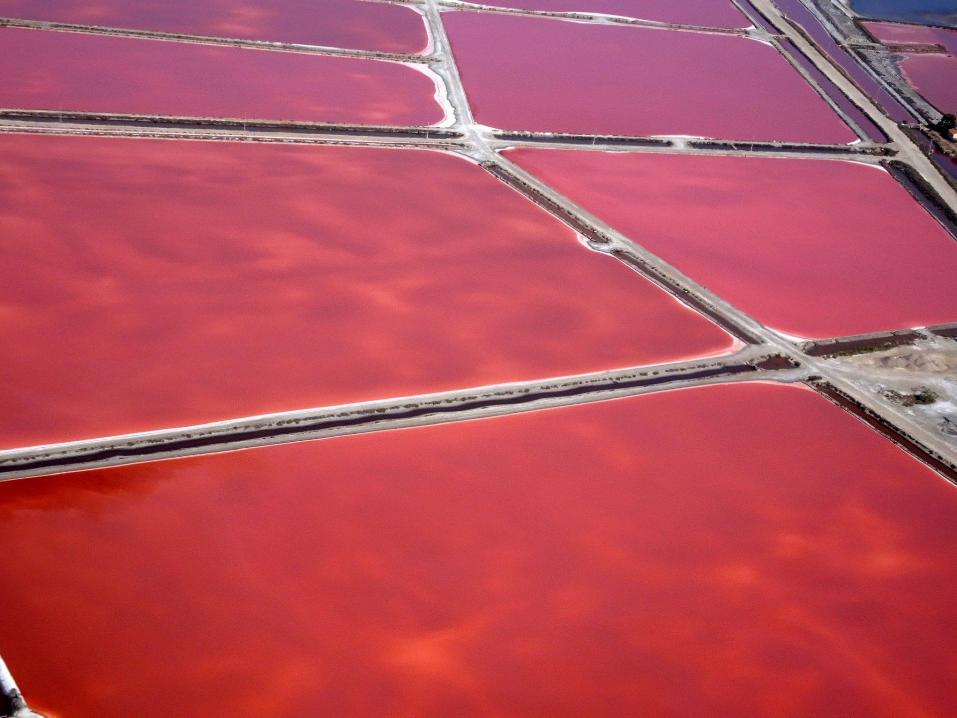 Maximum Hélico le Littoral par Aigues-Mortes, jusqu’à Sète