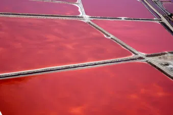 Maximum Hélico le Littoral par Aigues-Mortes, jusqu’à Sète