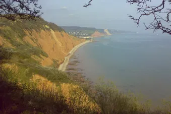 South Devon and Dartmoor Sightseeing tour