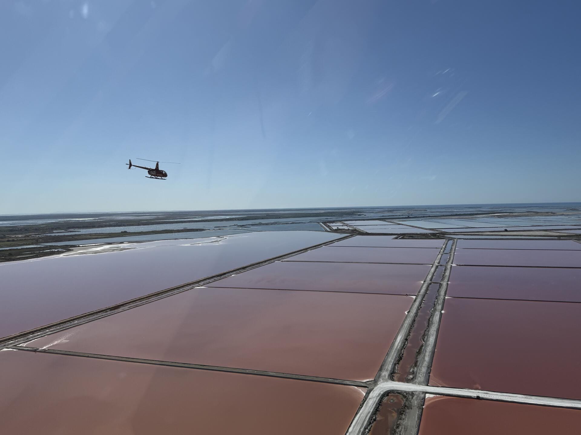 Balade en Camargue