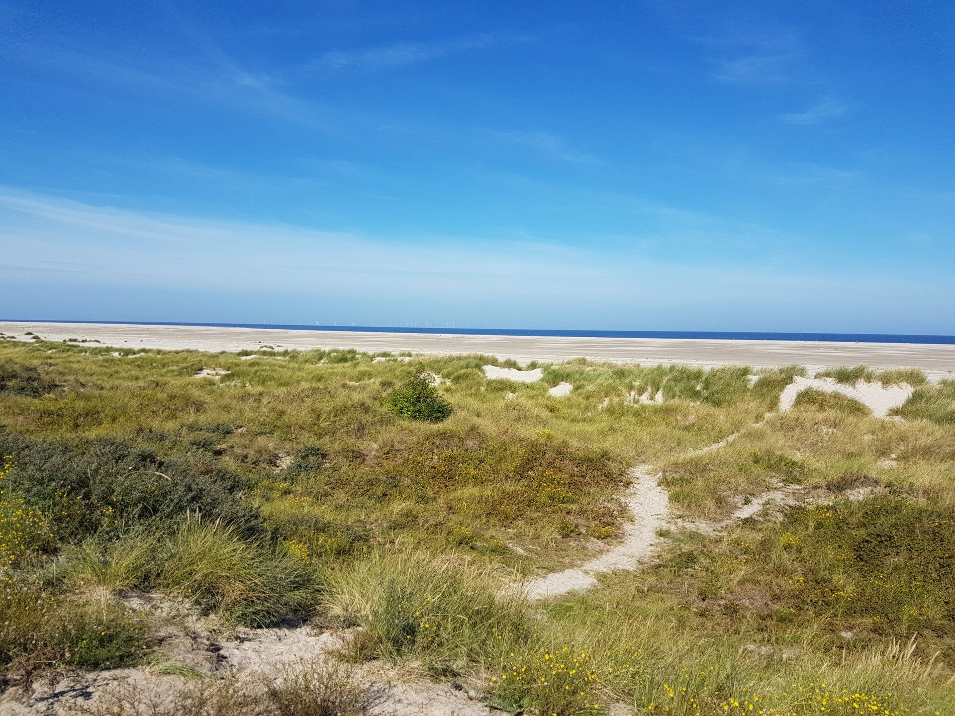 Tagesausflug Ostfriesische Inseln