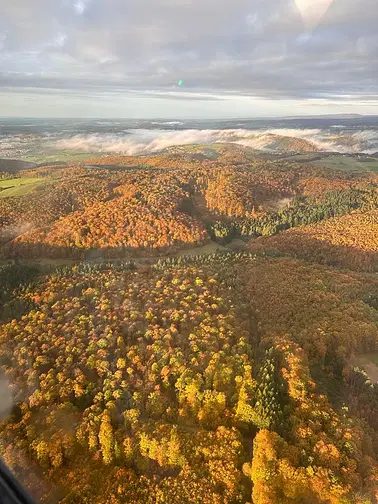 1 Stunde Schwarzwald