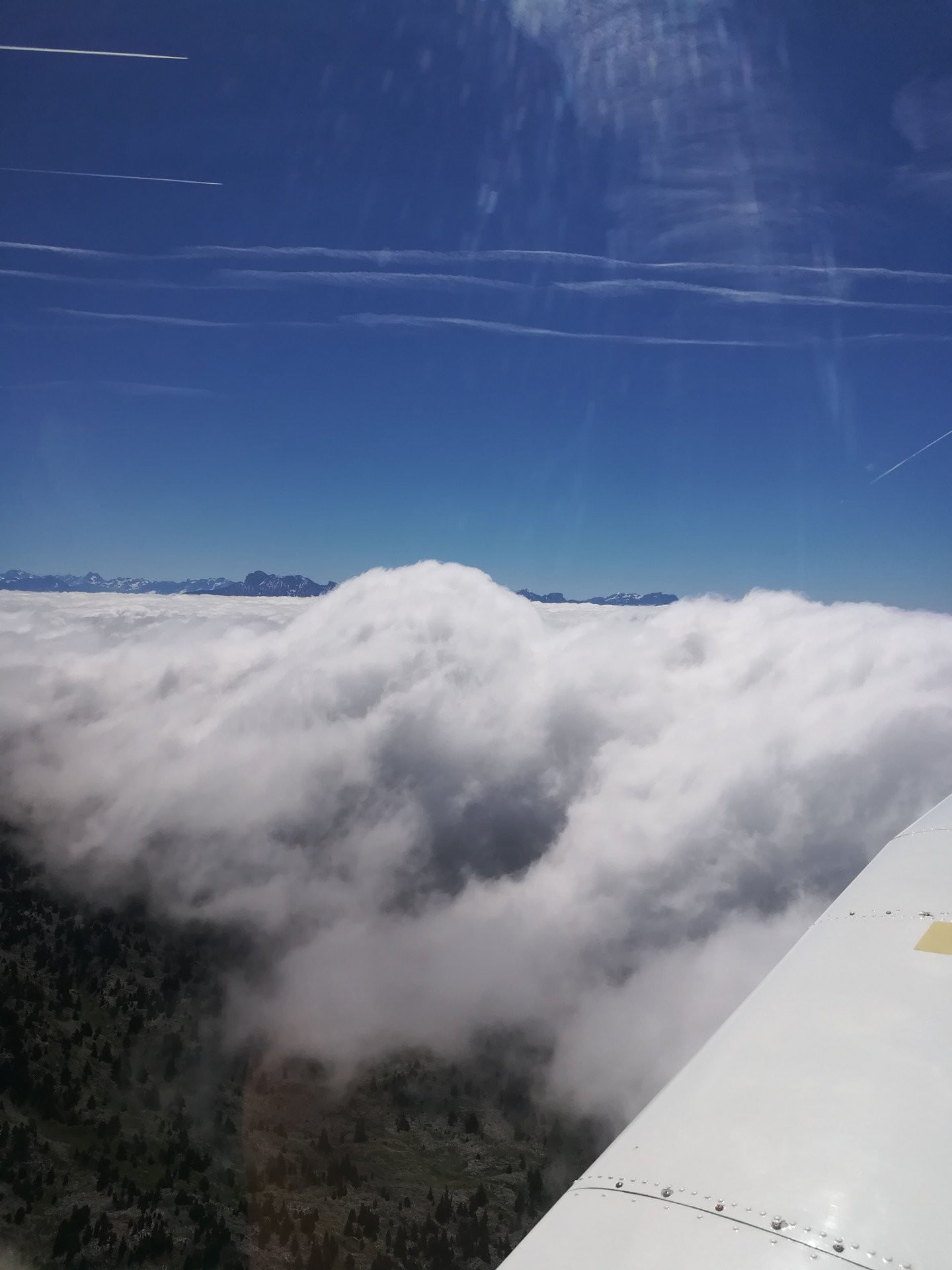 La forêt de Saou et les 3 becs vue du ciel