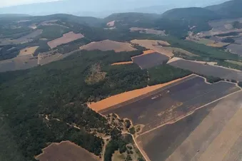 Balade aérienne au départ de La Môle St Tropez