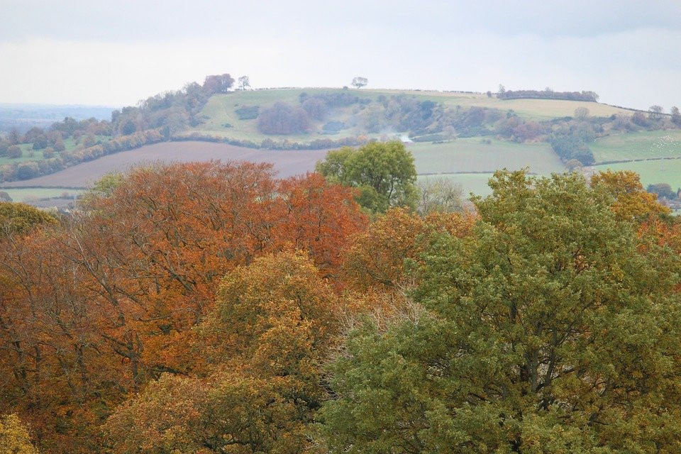 Join me on a helicopter flight to Ettington Park Hotel