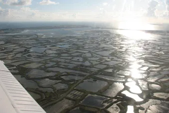 Excursion sur le golfe du morbihan
