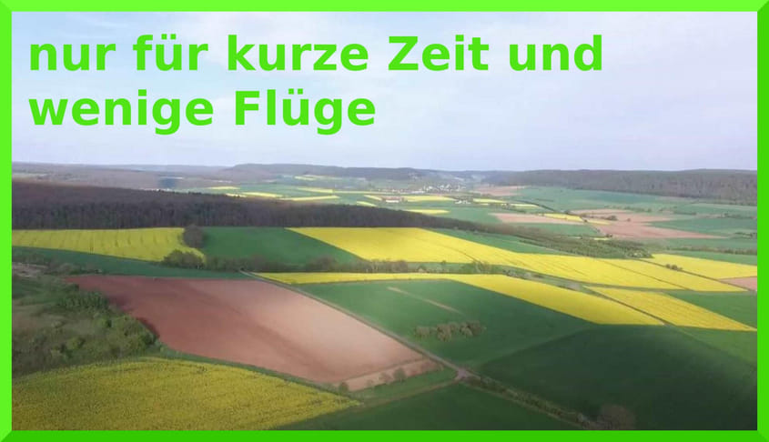 Nur kurze Zeit - Rapsfelder von oben aus sehen (RAD)