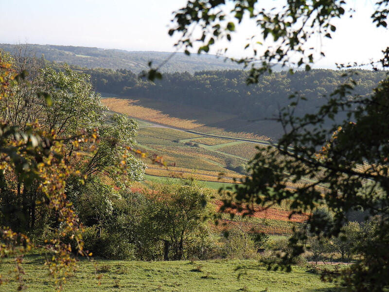 Beaune et ses alentours en hélicoptère - 20 min