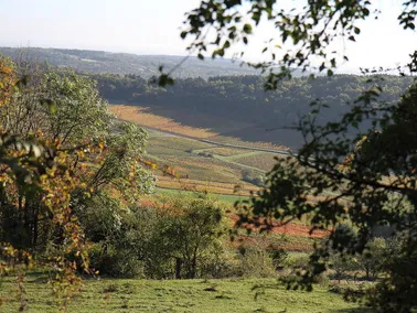 Beaune et ses alentours en hélicoptère - 20 min