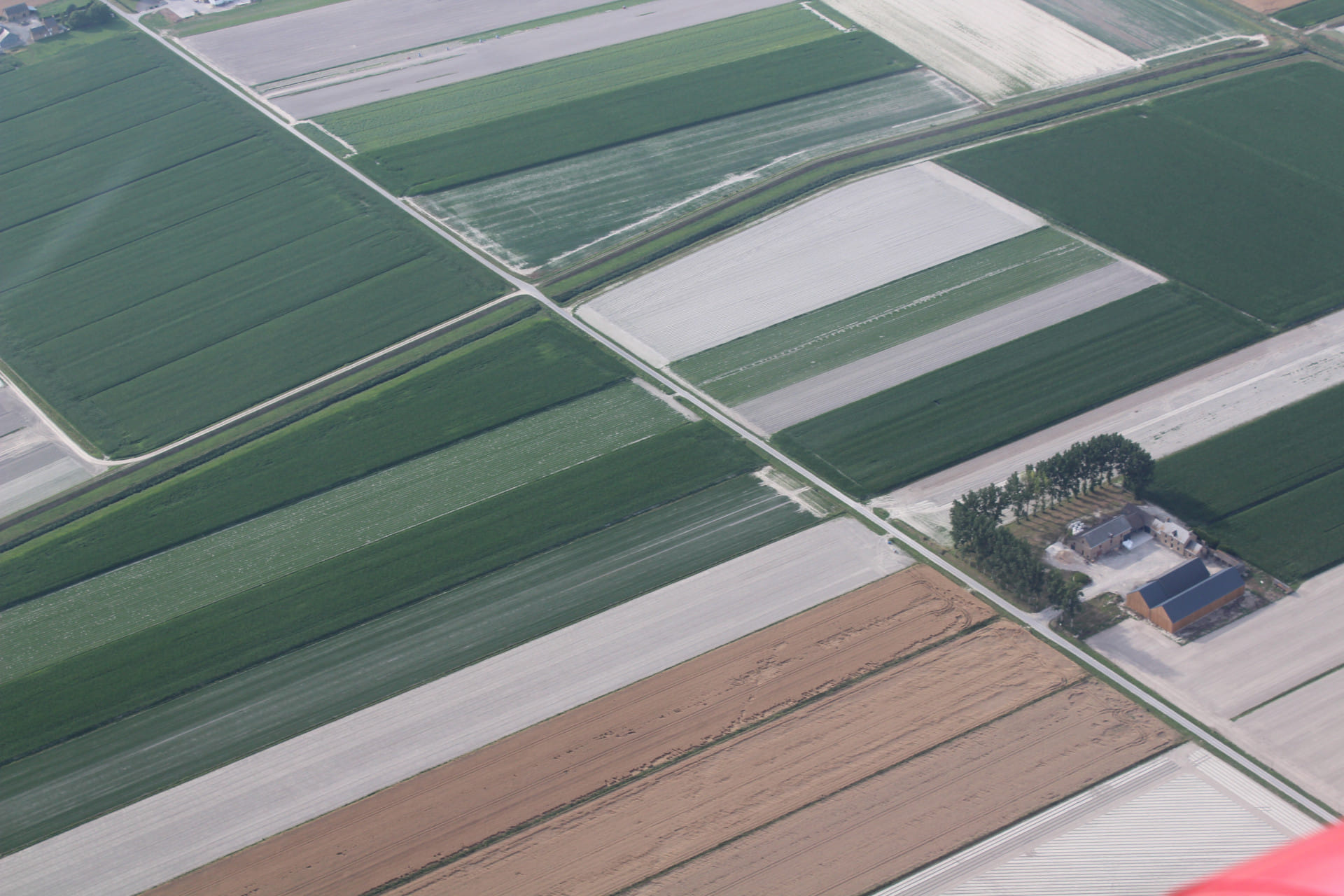 les polders du Mont saint Michel