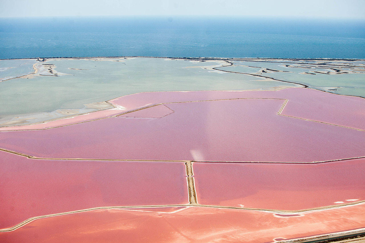 Vol panoramique au-dessus de Montpellier : la Camargue, les étangs et le Pic Saint-Loup vus du ciel