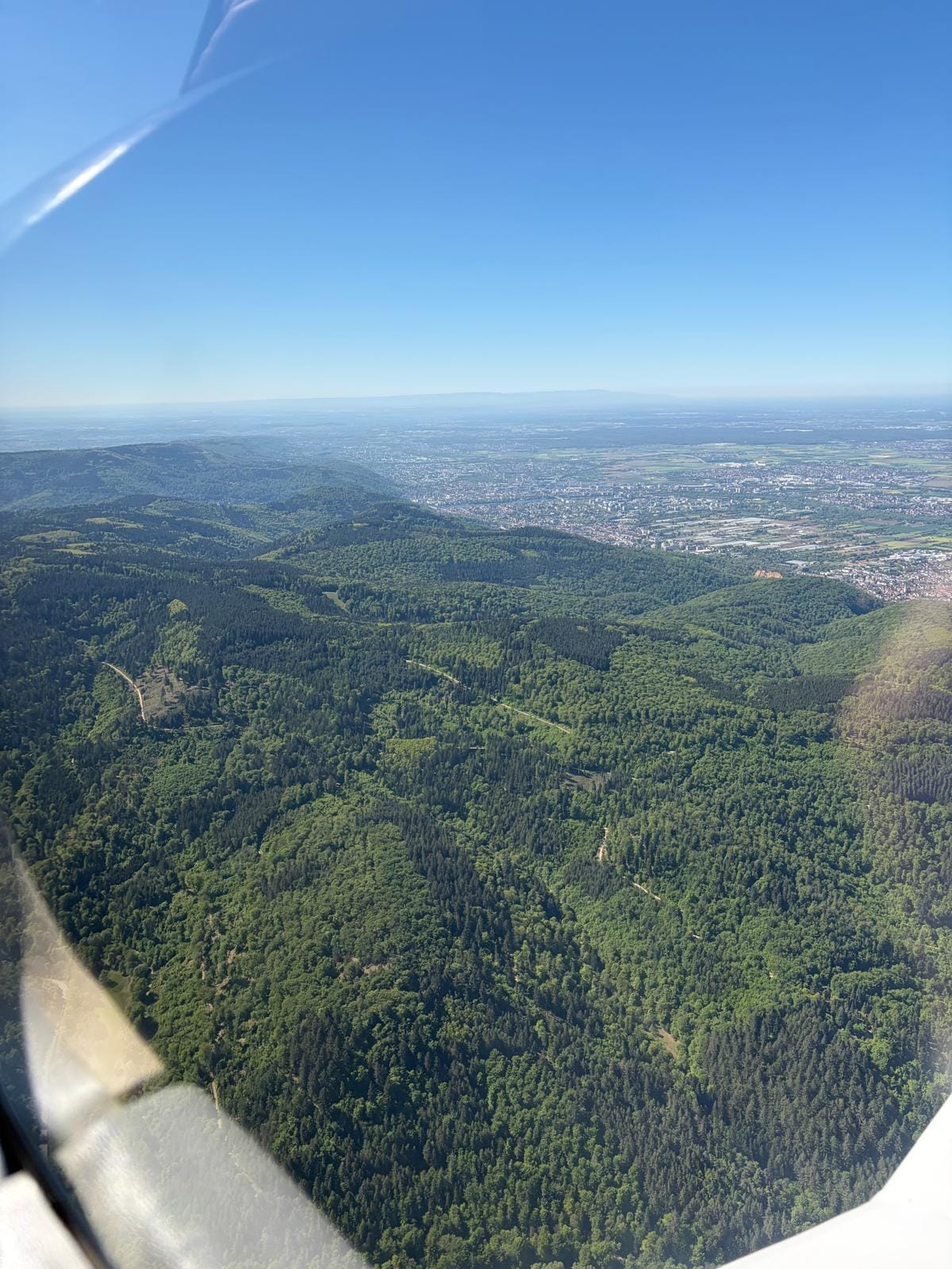 Black Forest & Freiburg Day Trip | English / Italiano