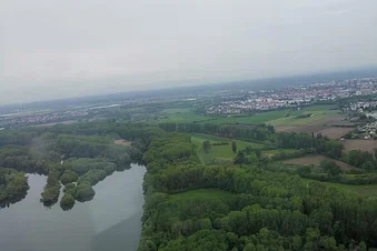 Rheinauen nahe Worms