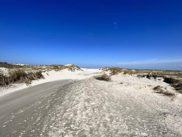 Von Saarbrücken nach Borkum – ganz entspannt