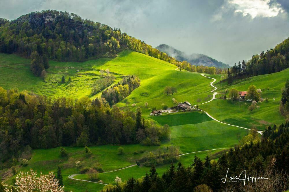 Roundtrip - Denham to Switzerland (3 passengers)