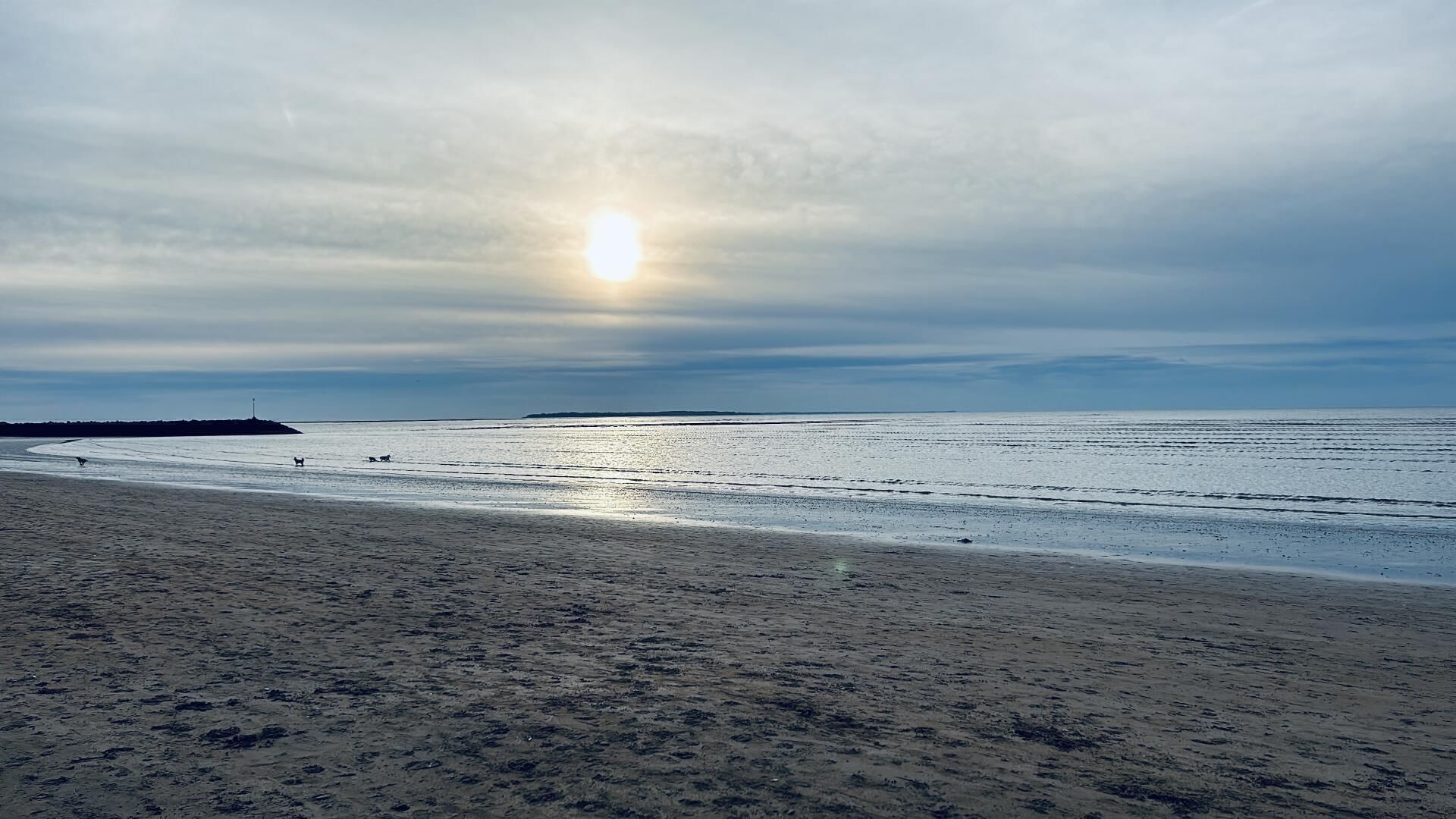 Excursion à La Rochelle !