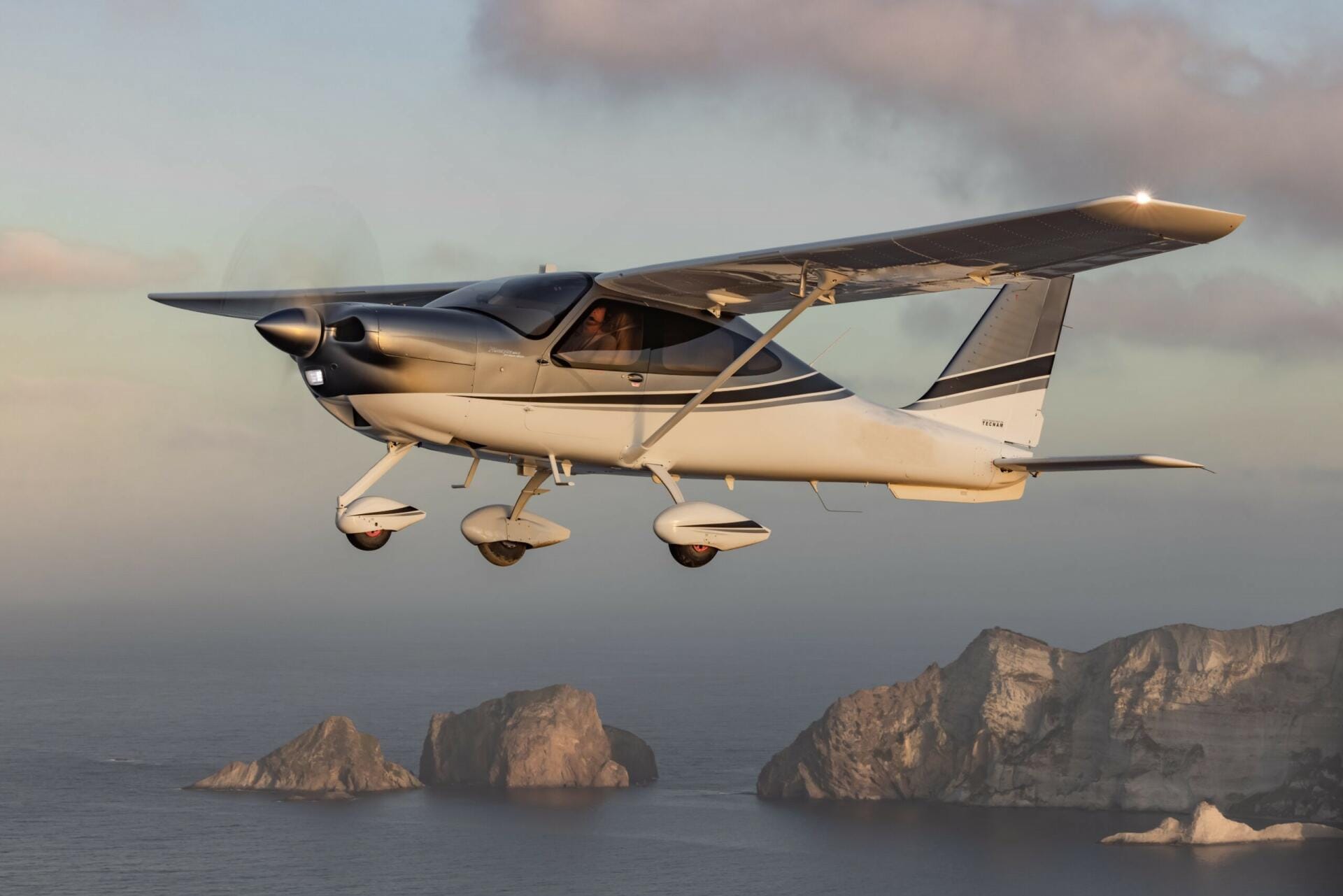 Tecnam P2010 - Beispielbild