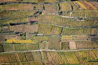 Balade aérienne en Alsace - Châteaux & vignoble (DR400)