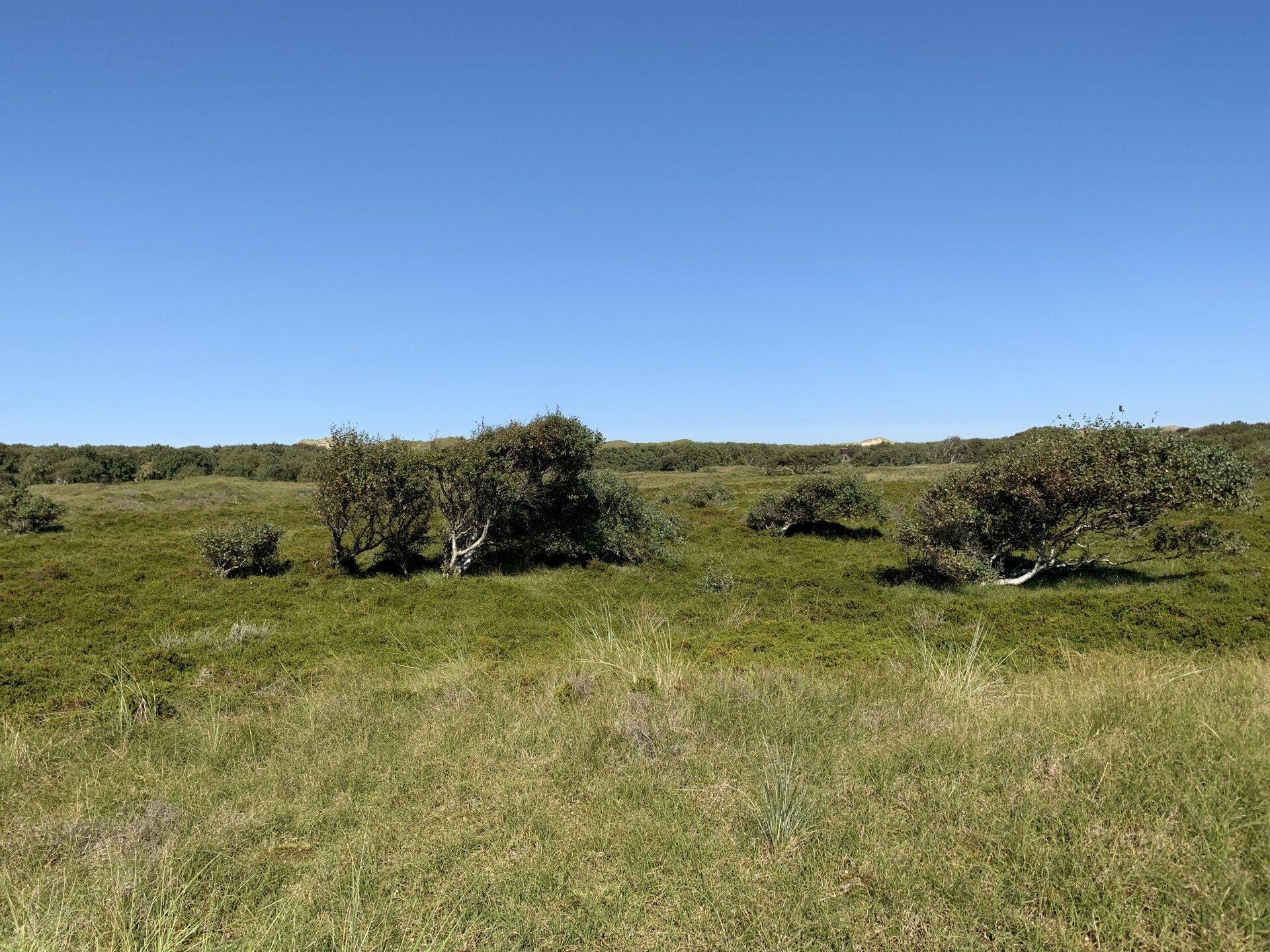 Tagesausflug zur Nordseeinsel Norderney