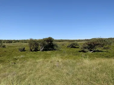 Tagesausflug zur Nordseeinsel Norderney