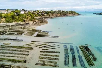 Cancale
