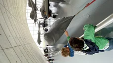 Day Trip to Duxford (Entry Fee Included)