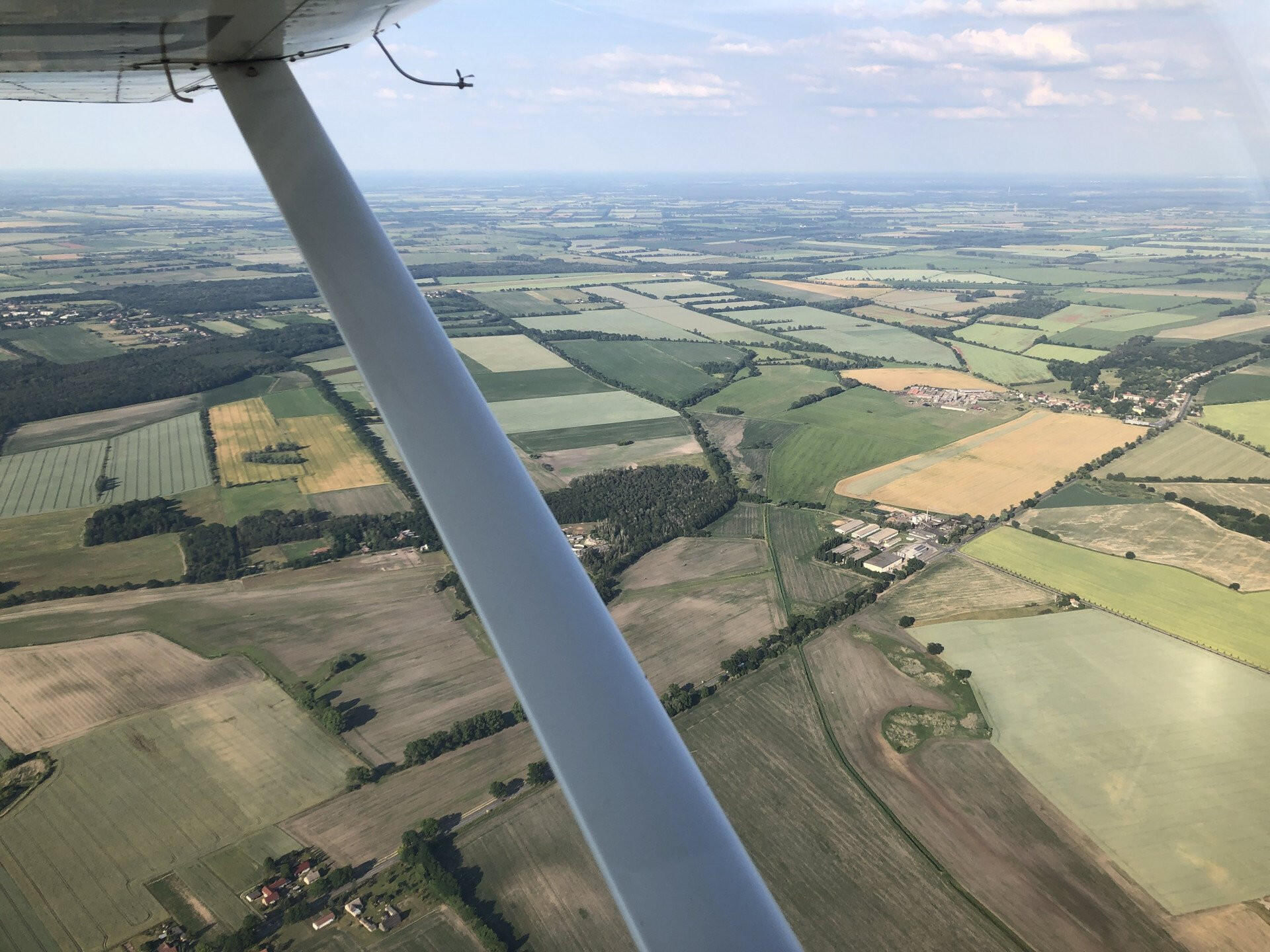 Kleiner Rundflug um die Bienenfarm