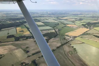 Kleiner Rundflug um die Bienenfarm