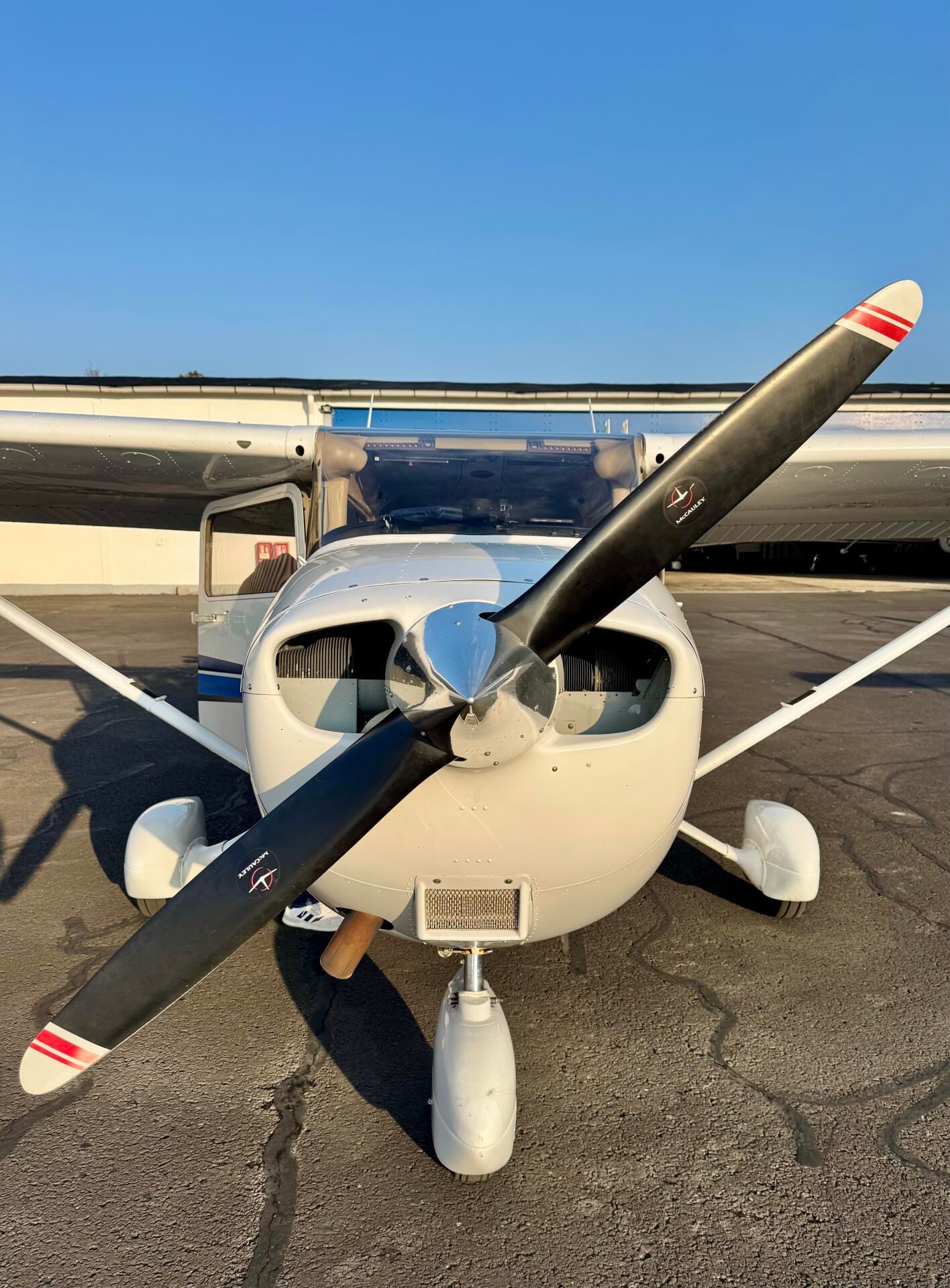 Rundflug über Biblis, Worms, Mannheim & Speyer