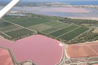Marais Salant / Pink lake
