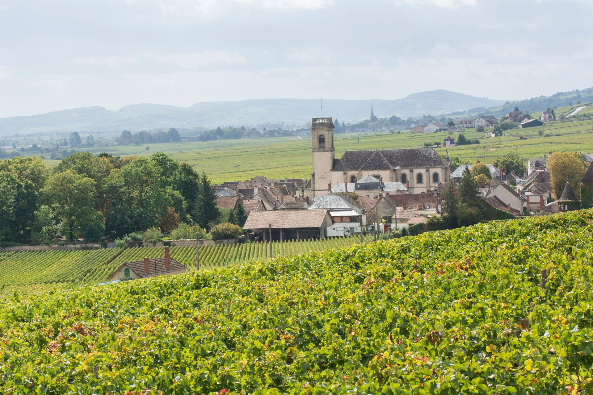 Les vignobles bordelais en Hélicoptère - 30 min