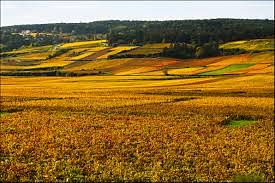 Survol de la Côte des Grands Crus et ses Châteaux