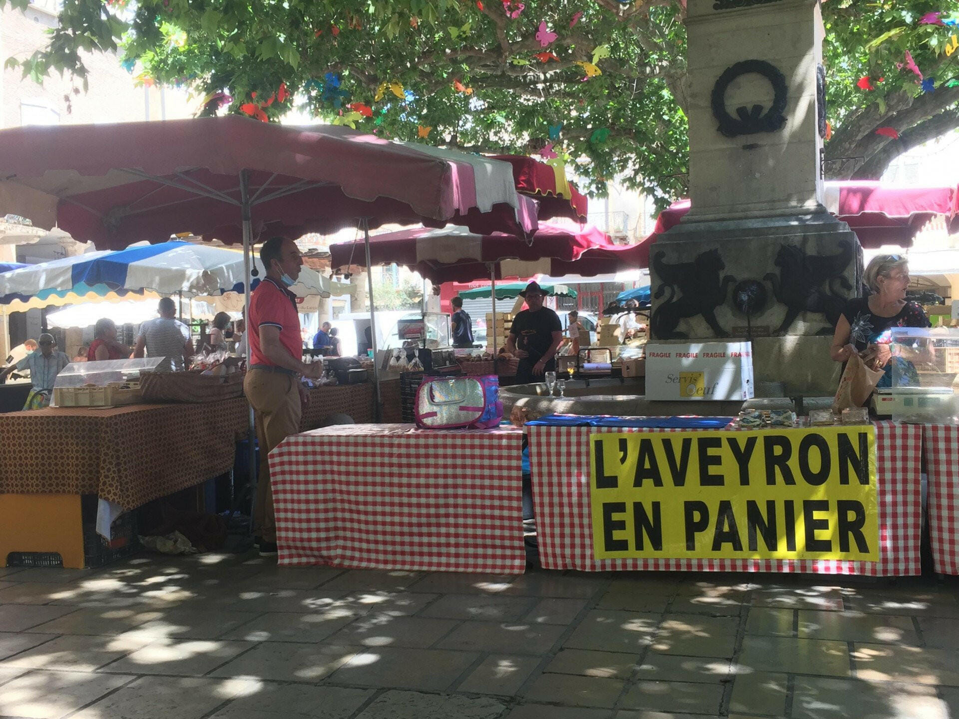 Survolez le Viaduc de Millau en avion privé !