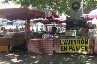 Survolez le Viaduc de Millau en avion privé !