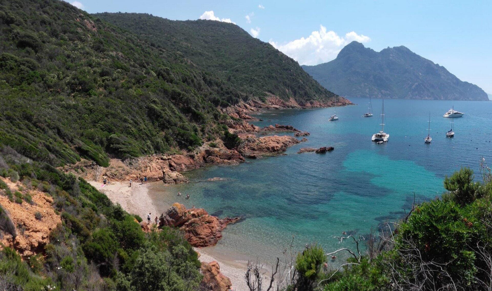 Vol aller (ou retour) sur Calvi