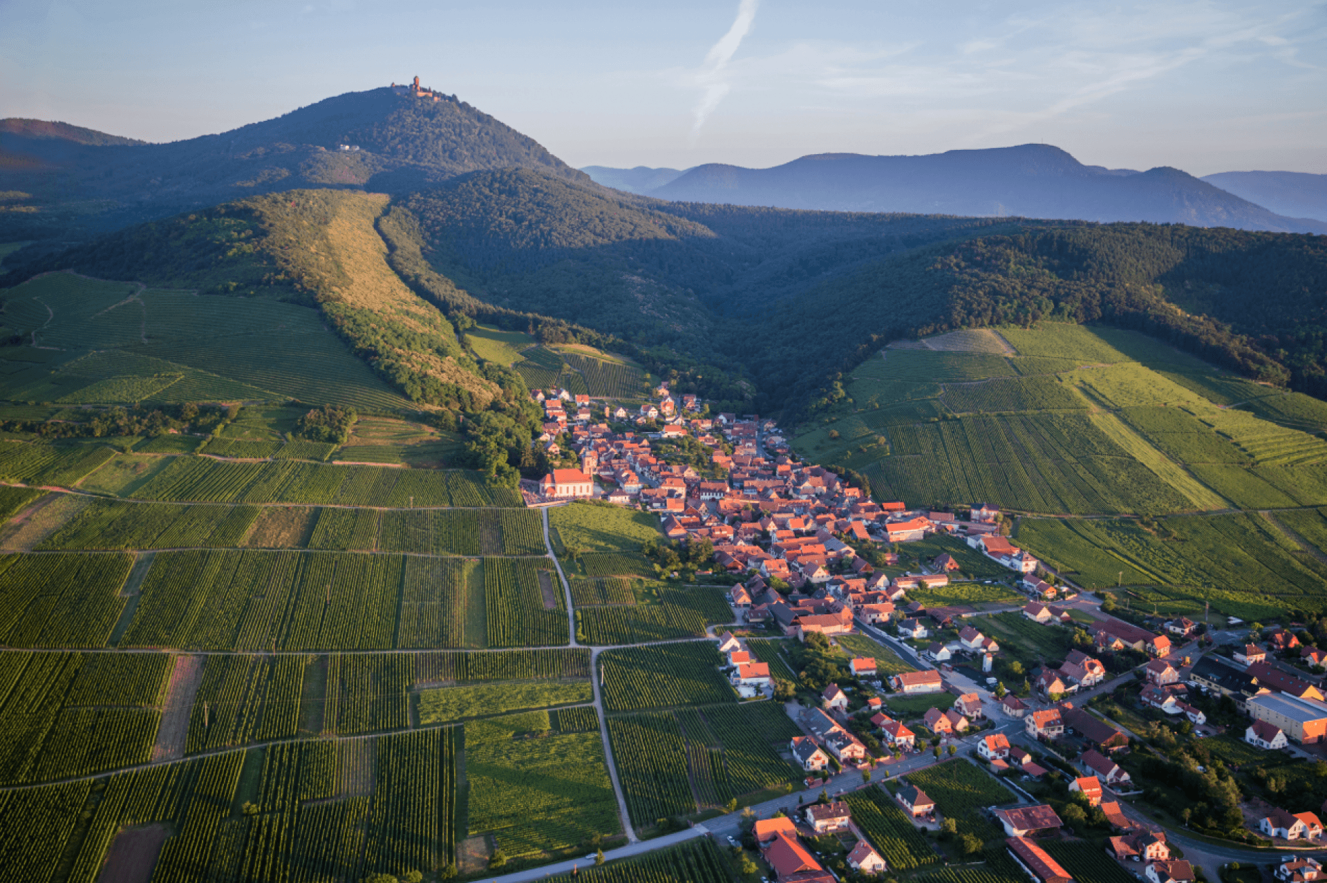 ✈️ Escapade aérienne en Alsace : vignobles et châteaux
