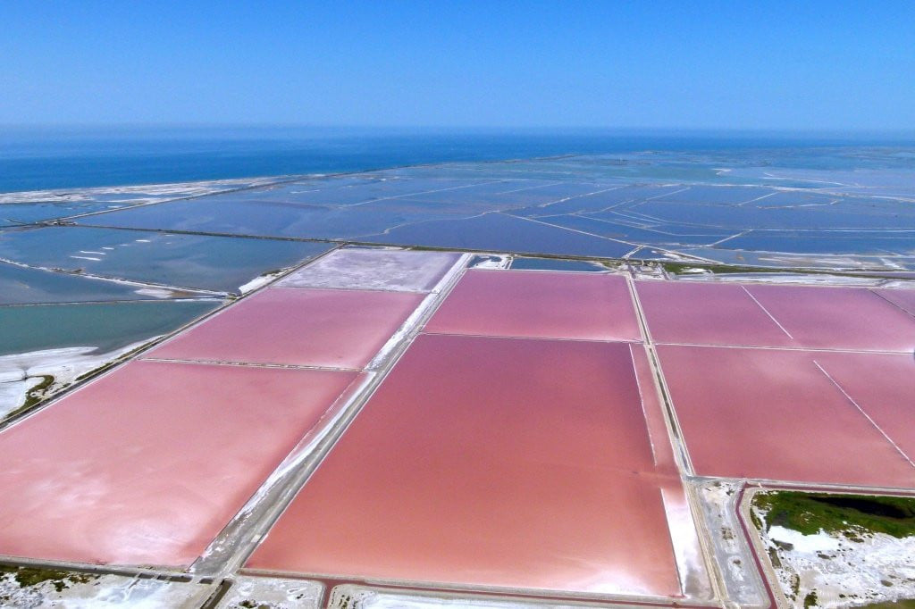 Surprenante Camargue : ses couleurs et paysages