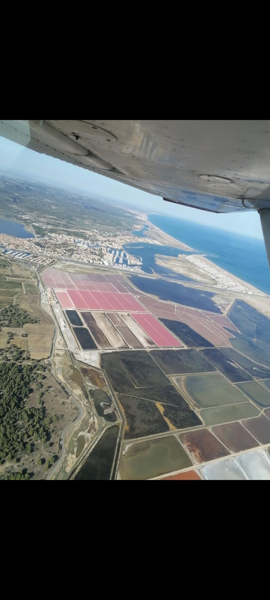 Salins de Gruissan