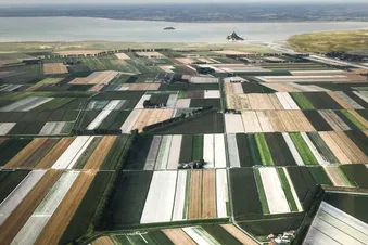 Vue de la baie du Mont Saint Michel