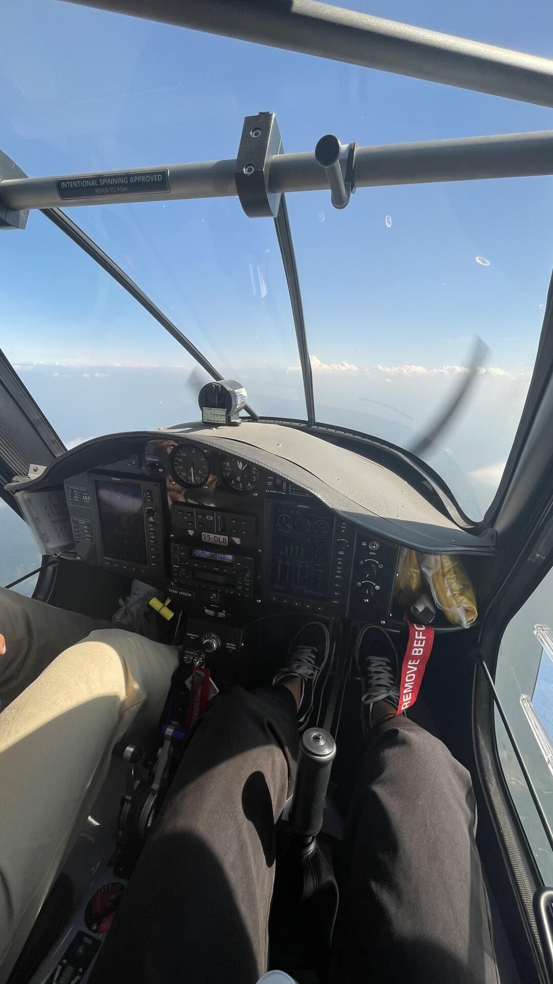 Pipistrel Virus SW