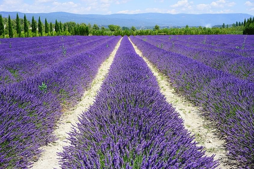 Gordes et Fontaine de Vaucluse en Hélicoptère (Max 3 Sièges)