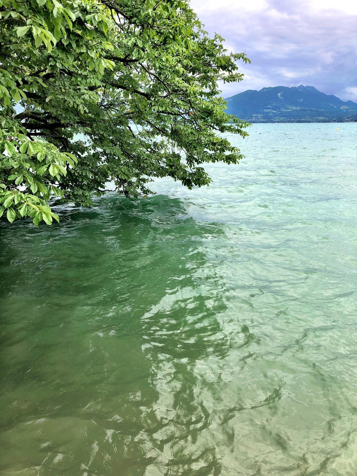 Vol à destination d'Annecy