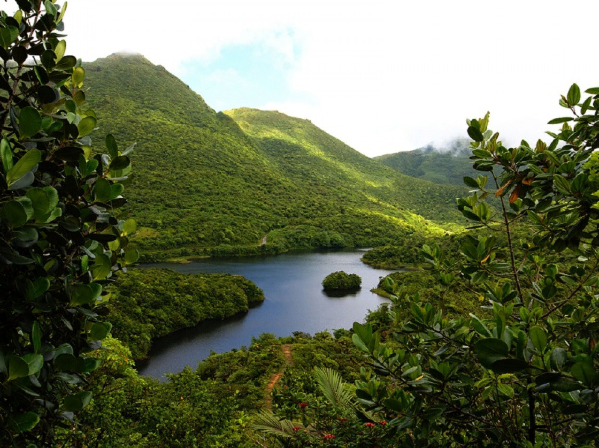 Vol Martinique - Dominique (aller/retour)
