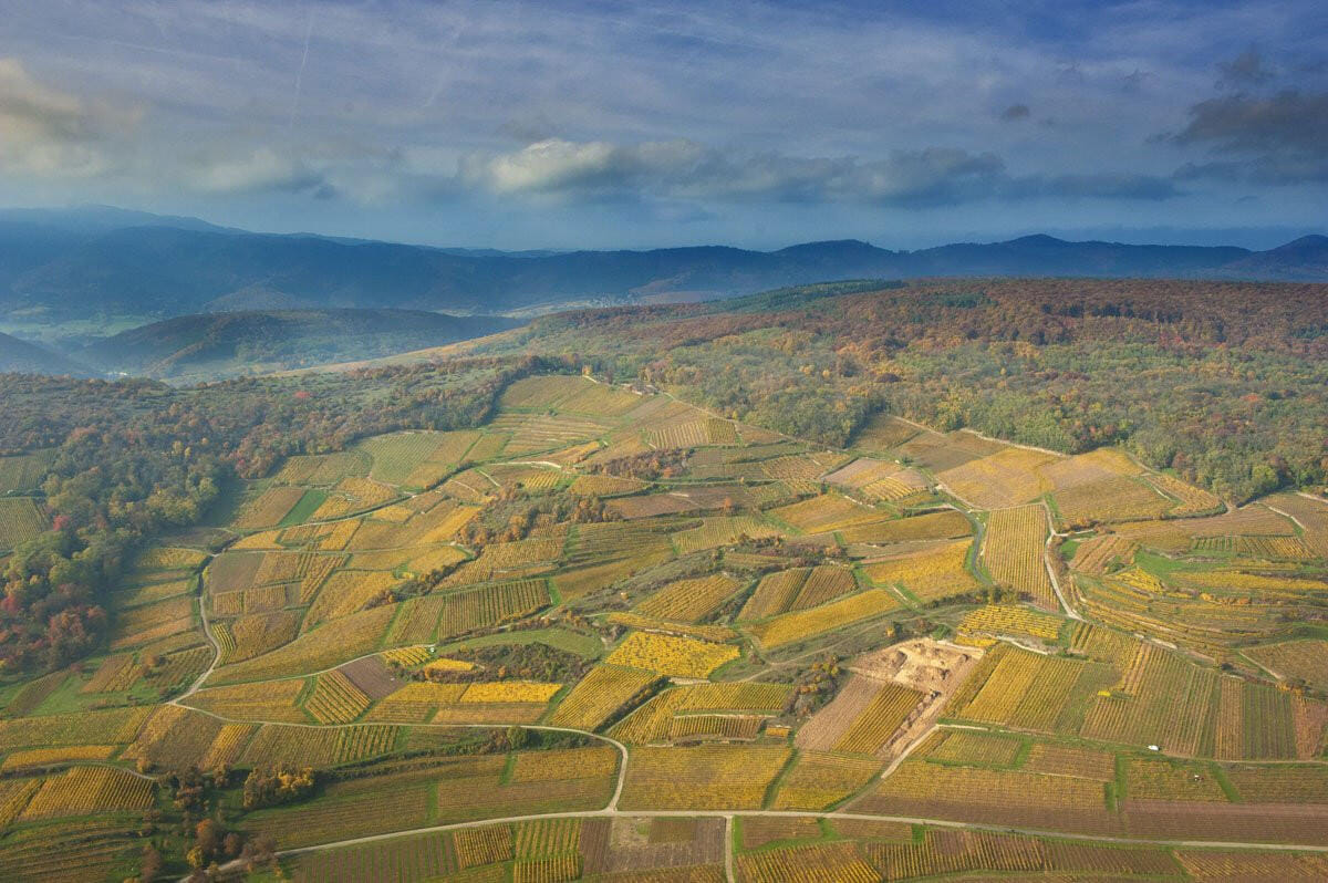 Château du Haut Koenigsbourg, Neuf Brisach & Colmar