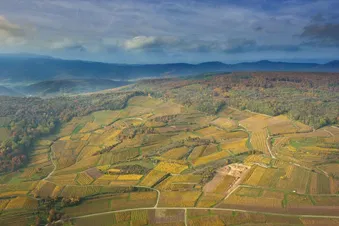 Château du Haut Koenigsbourg, Neuf Brisach & Colmar