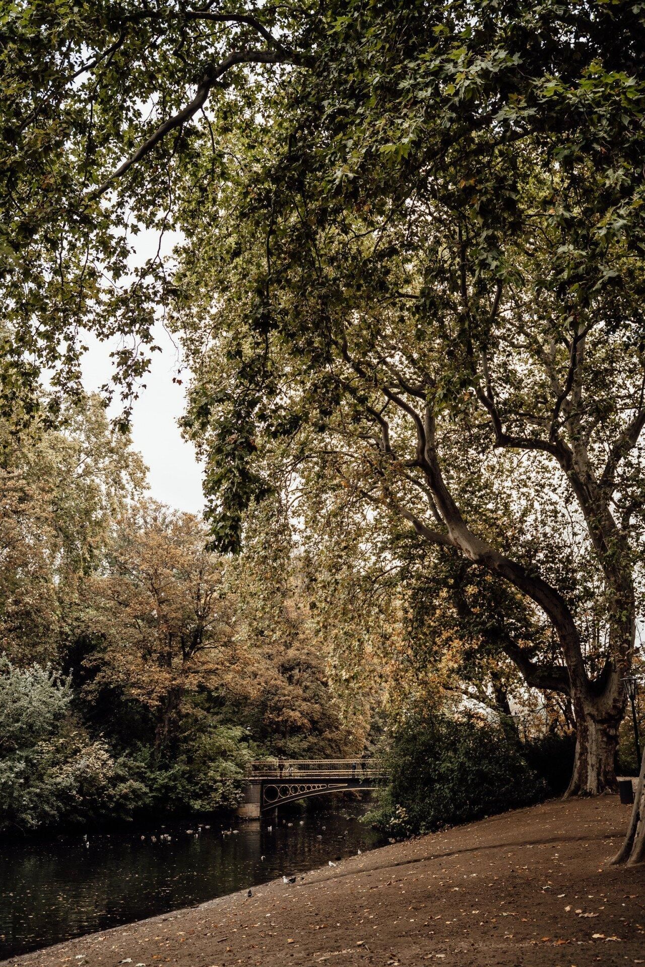 Rundflug „Rheinturm & Düsseldorf“ - Ledersitze mit PA28-181
